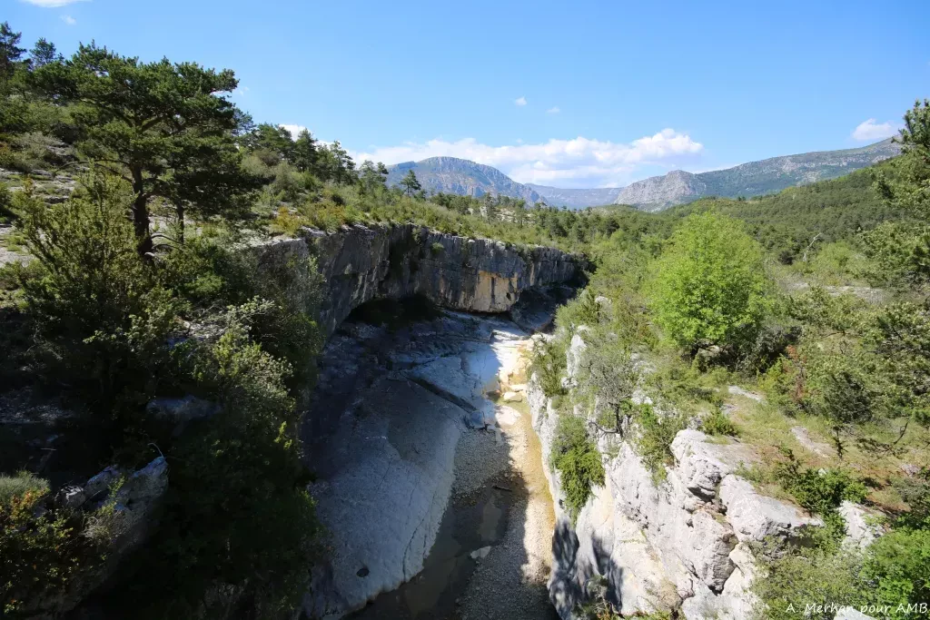 media-library40ljh737vl623vIGEzX