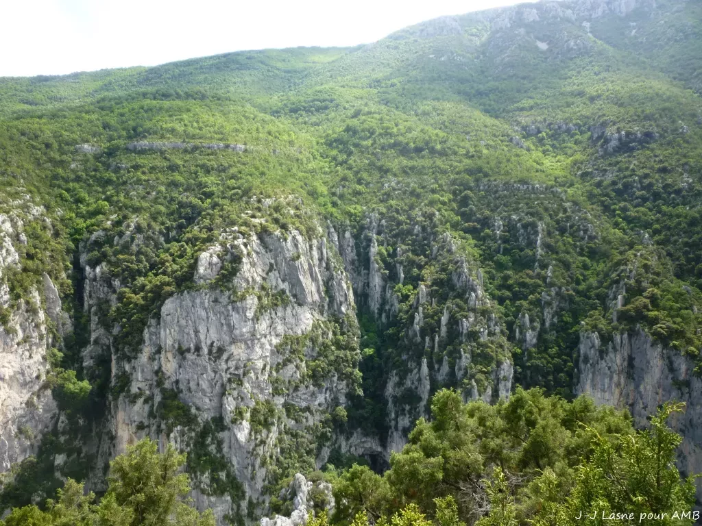 media-libraryb0ctg1scldj6bCnJ5SW