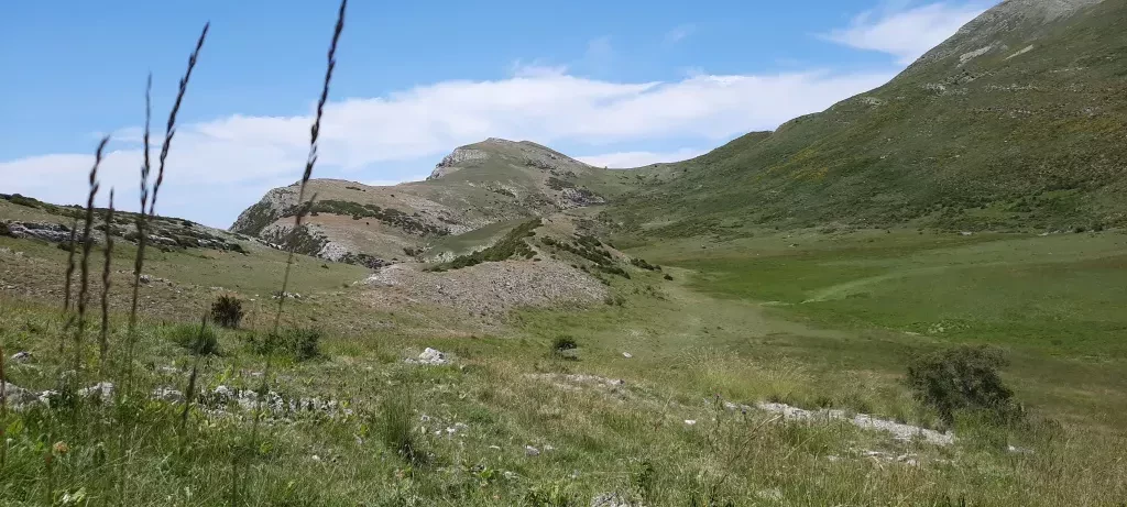 media-library41v43997ks740N1Y0JU