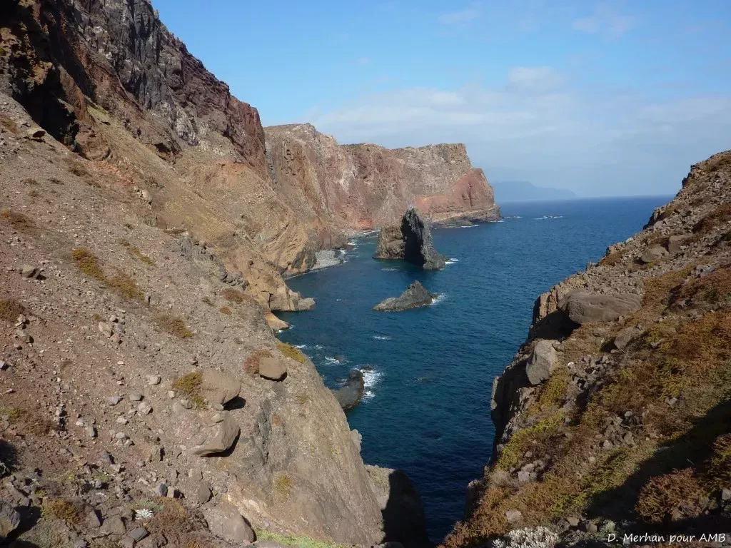 media-libraryu5o5p908pivt8YOWSsV