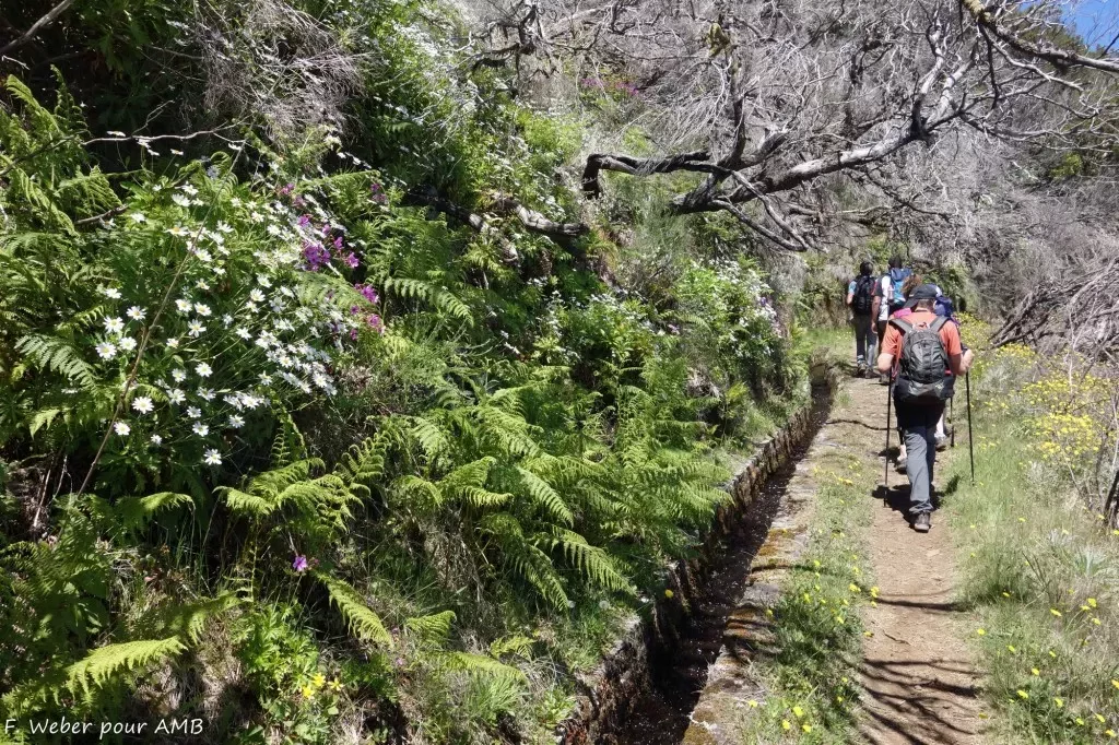 media-librarygtbjro4p1rk72TgCJfW