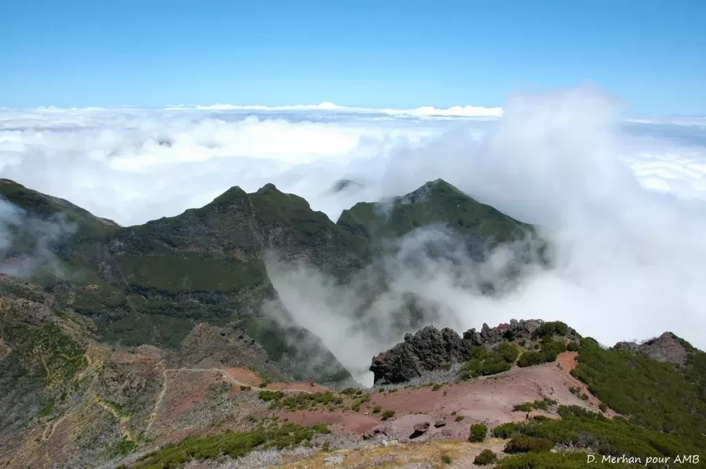 media-library2bh0thevd7vdaPB033S