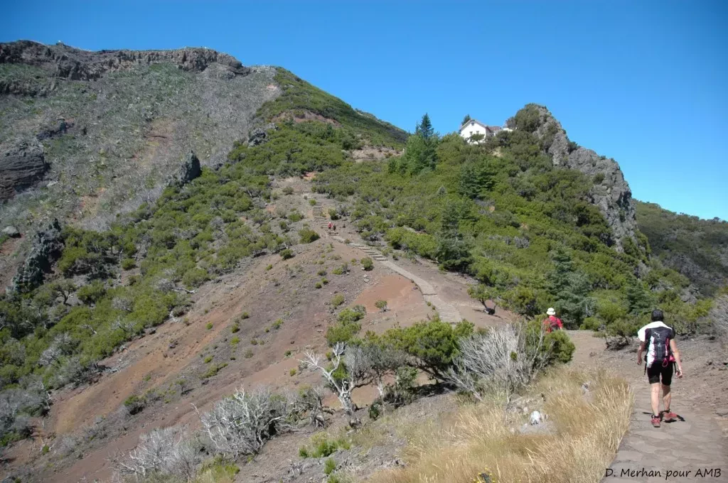 media-libraryl83qndkl8h1hePSnQwX