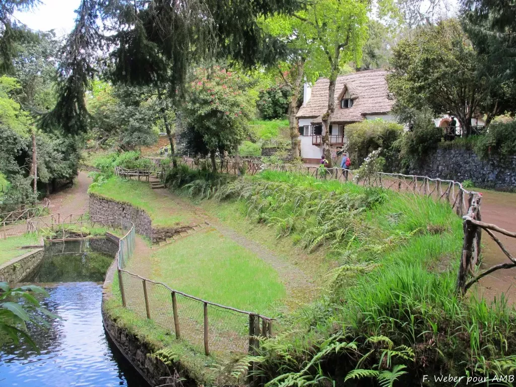 media-libraryg8i37utlt3c227dNN4V