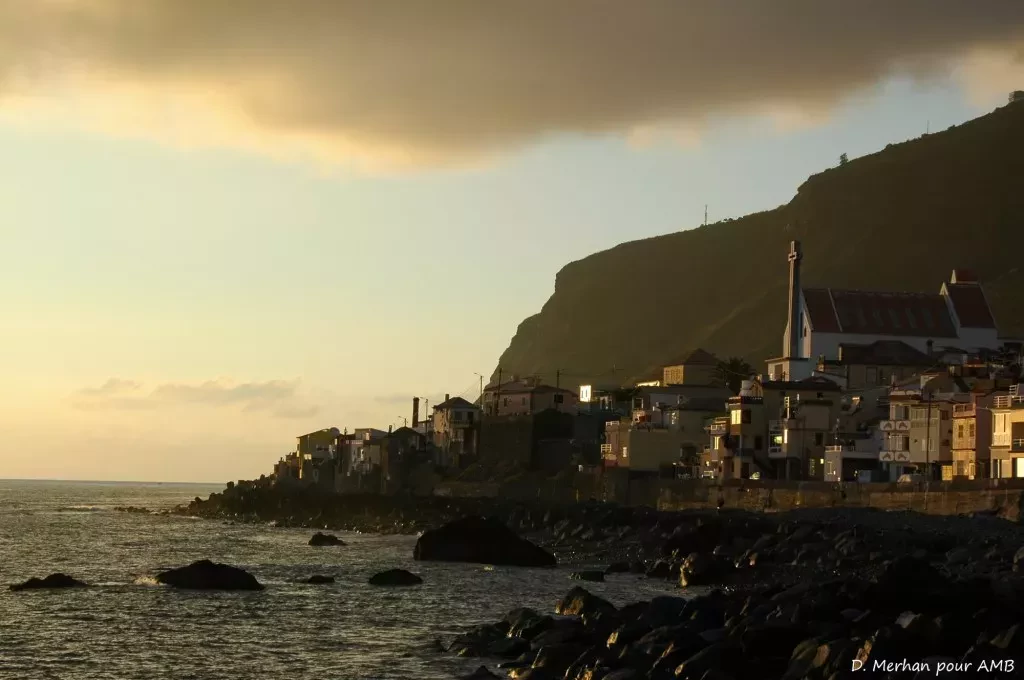 media-librarye257md2u8sh88Anzz3W