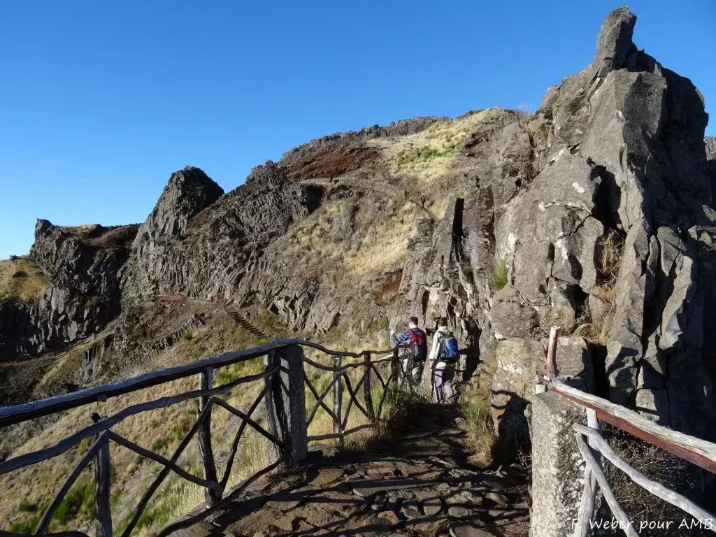 media-library0mfl7ofovlol5yDgFNV