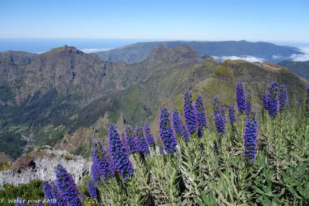 media-libraryoqejqvpakcejdlL671S