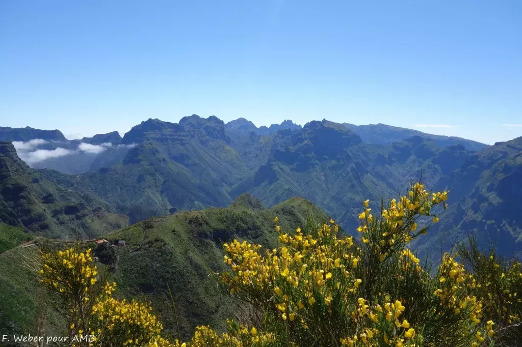 media-librarybu40qkrqgv9ndjoNUCW