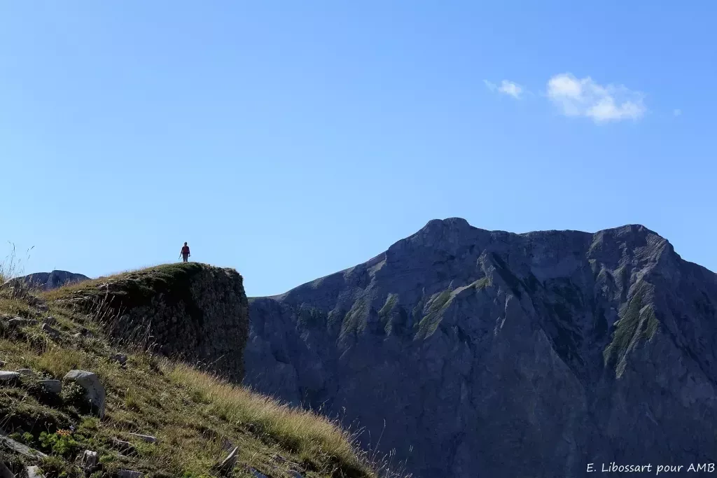 media-library3grplso0qrmu4NQzRWS