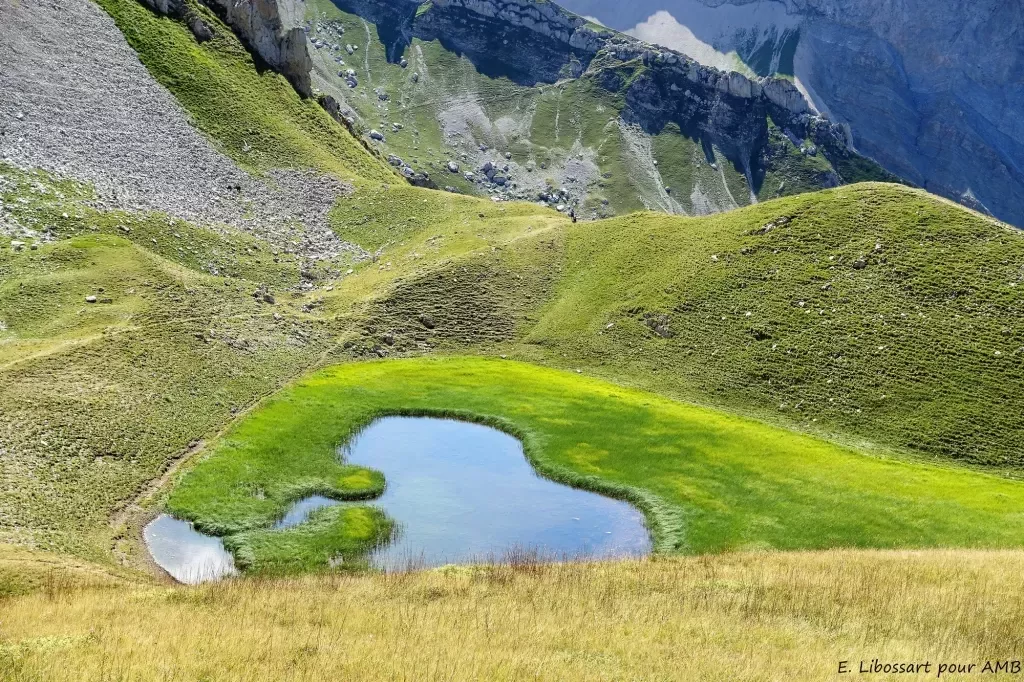 media-library6b8535aeiagsaUbMBuV