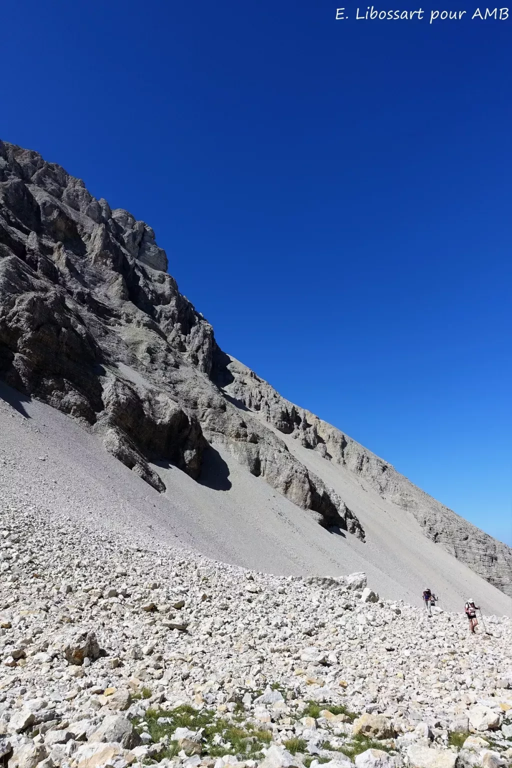 media-libraryls6fp0o82h6hdrvd3YV