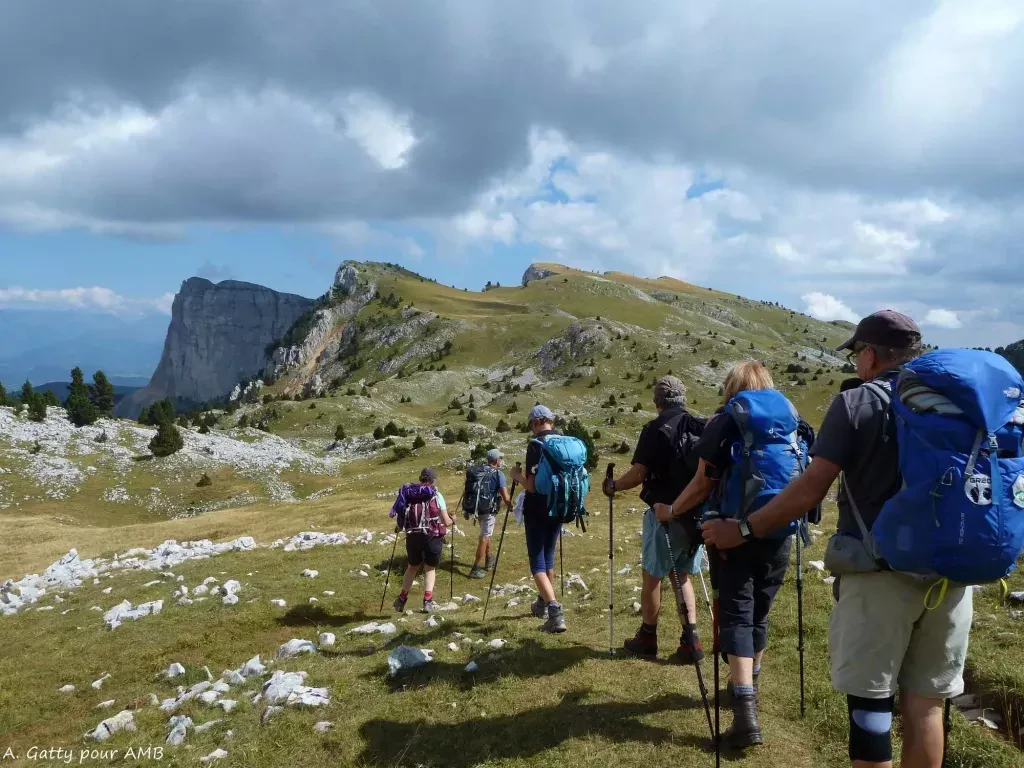 media-library9btgfle6uqqr0d7at5S