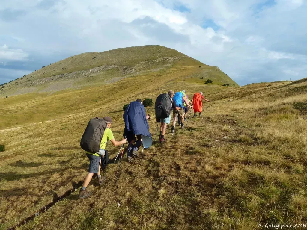 media-libraryr81qi71bjdet2eFWDLW